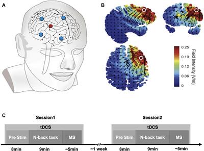 High-Definition Transcranial Direct Current Stimulation Over the Right Lateral Prefrontal Cortex Increases Maximization Tendencies